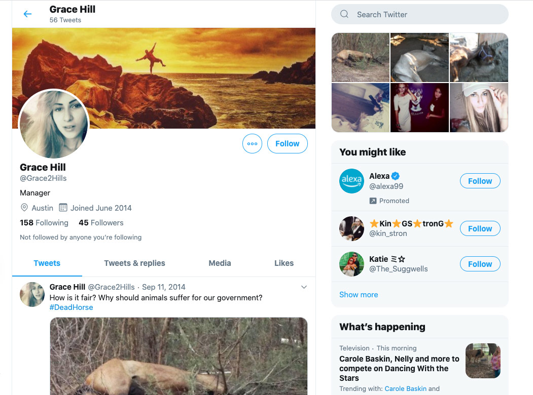 Screenshot Grace Hill profile